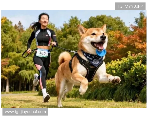 萌犬叼着手持足球玩具欢乐奔跑展现无限活力瞬间